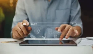 SiteSEO tool searched